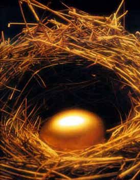 Goldenes Ei im Nest (16 kB)